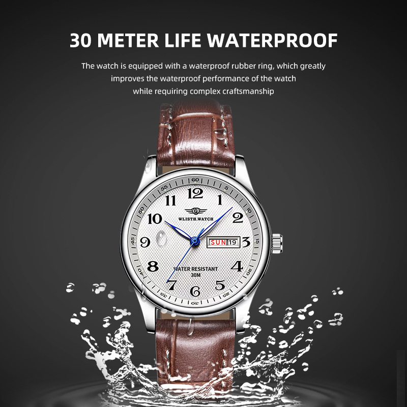 WLISTH Luxury Brand Men's Watc - огляд і ціна Luxury Watch Holder For Men