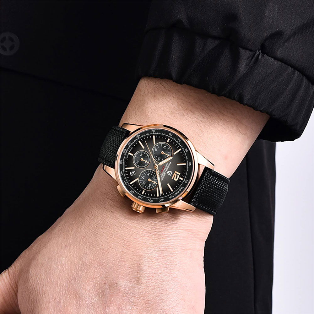 PAGANI DESIGN New Mens Watch 4 - огляд і ціна Luxury Watch Brands